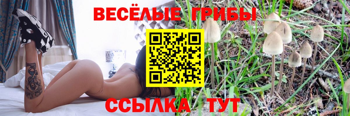 Галлюциногенные грибы Magic Shrooms  Галлюциногенные грибы ЛСД  Горно-Алтайск  купить  сайты  Вход с VPN 